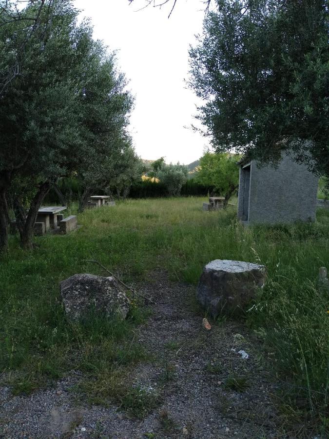 Pavies Casa De Amparo Y Jose Manuel 게스트하우스 외부 사진