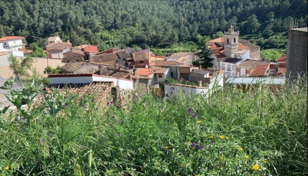 Pavies Casa De Amparo Y Jose Manuel 게스트하우스 외부 사진